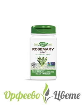 ХРАНИТЕЛНИ ДОБАВКИ Безсъние и стрес  Rosemary Leaf/ Розмарин (лист) 350 mg х 100 капсули